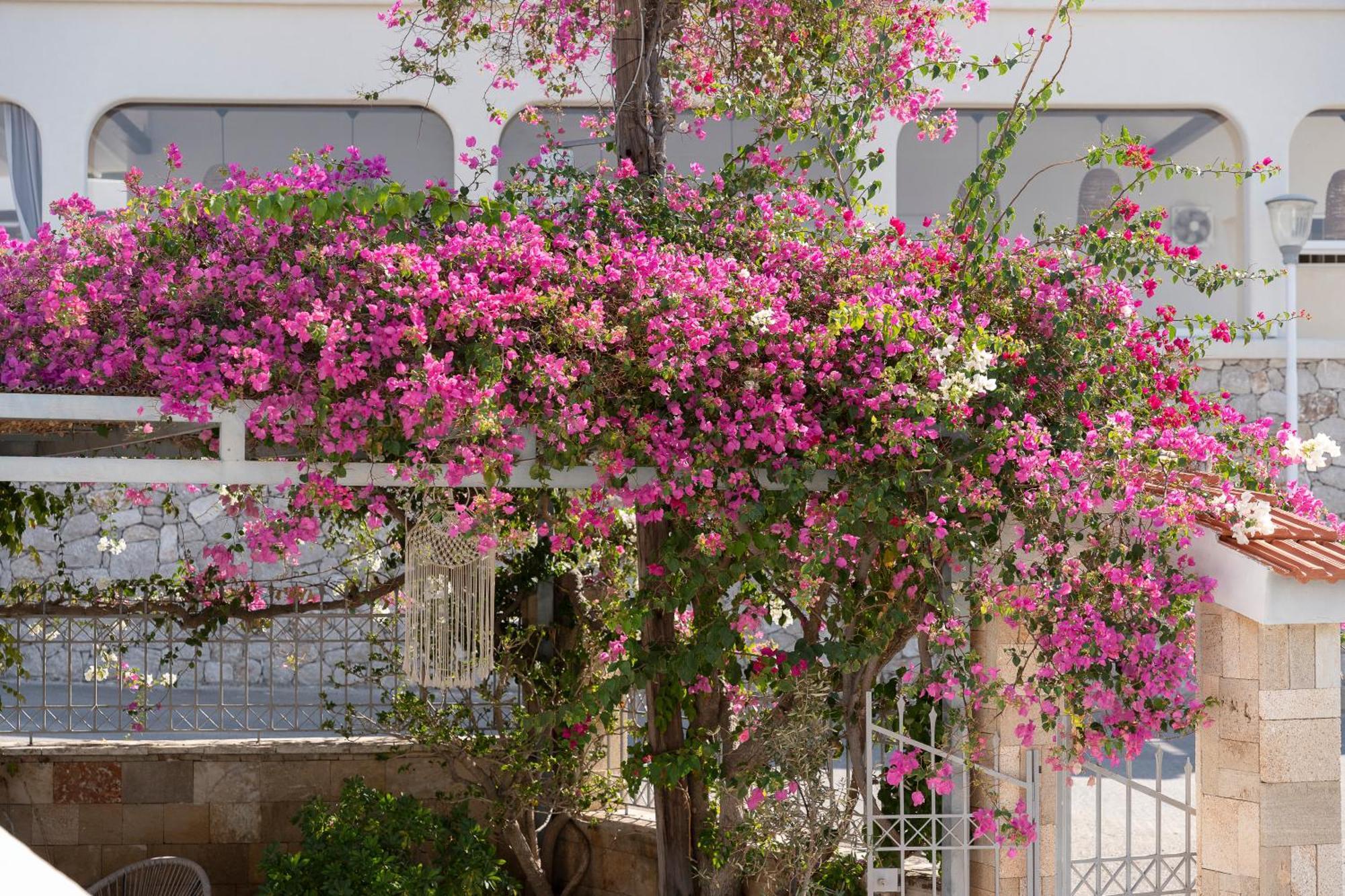 Pefki Pounedes Luxury Suites المظهر الخارجي الصورة